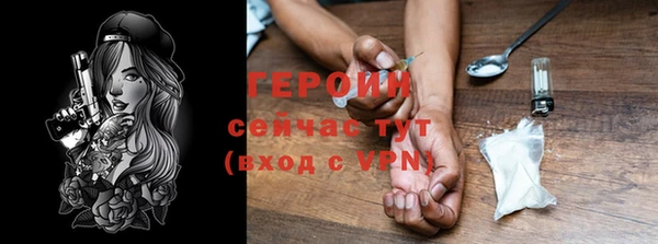 индика Беломорск