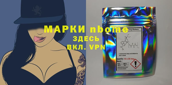 индика Беломорск